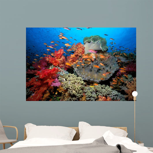 Tropical Coral Reef Fiji Wall Decal Design 7