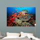 Tropical Coral Reef Fiji Wall Decal Design 7