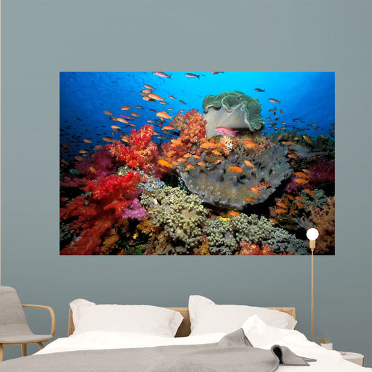 Tropical Coral Reef Fiji Wall Decal Design 7