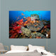 Tropical Coral Reef Fiji Wall Decal Design 7