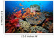 Tropical Coral Reef Fiji Wall Decal Design 7