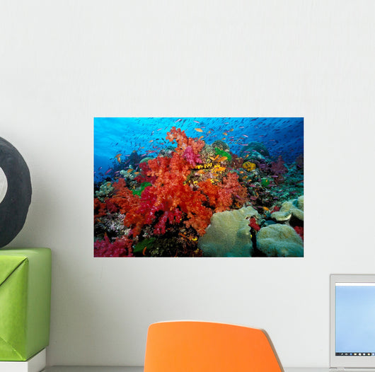 Tropical Coral Reef Fiji Wall Decal Design 6