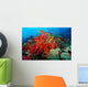 Tropical Coral Reef Fiji Wall Decal Design 6