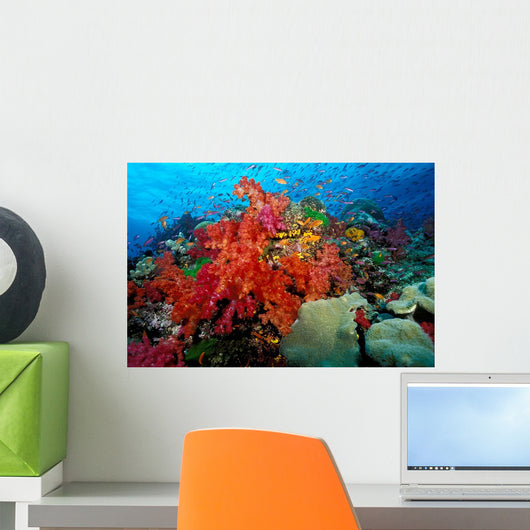 Tropical Coral Reef Fiji Wall Decal Design 6