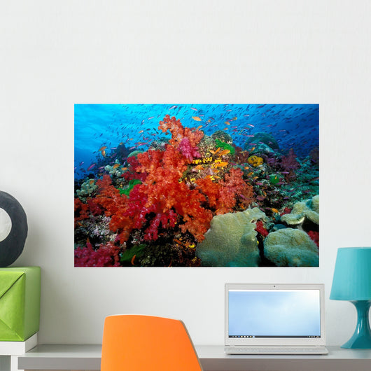 Tropical Coral Reef Fiji Wall Decal Design 6