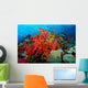 Tropical Coral Reef Fiji Wall Decal Design 6