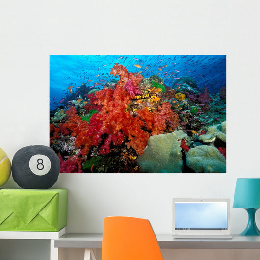 Tropical Coral Reef Fiji Wall Decal Design 6