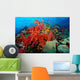 Tropical Coral Reef Fiji Wall Decal Design 6