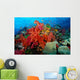 Tropical Coral Reef Fiji Wall Decal Design 6