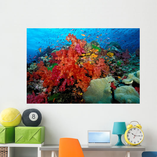 Tropical Coral Reef Fiji Wall Decal Design 6