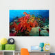 Tropical Coral Reef Fiji Wall Decal Design 6