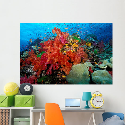 Tropical Coral Reef Fiji Wall Decal Design 6