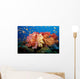 Tropical Coral Reef Fiji Wall Decal Design 5