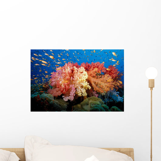 Tropical Coral Reef Fiji Wall Decal Design 5