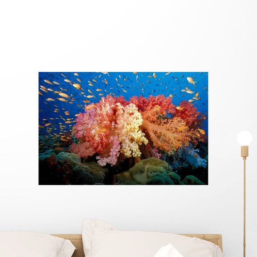 Tropical Coral Reef Fiji Wall Decal Design 5