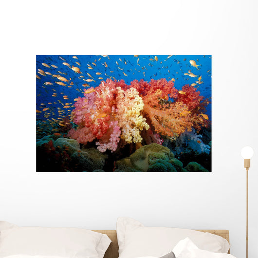 Tropical Coral Reef Fiji Wall Decal Design 5