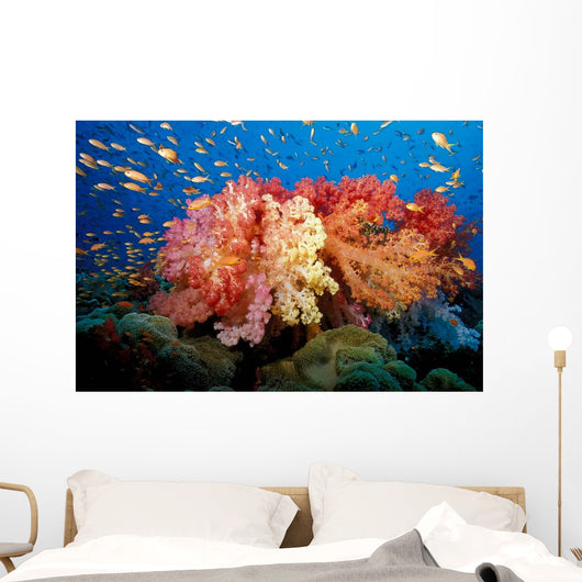 Tropical Coral Reef Fiji Wall Decal Design 5