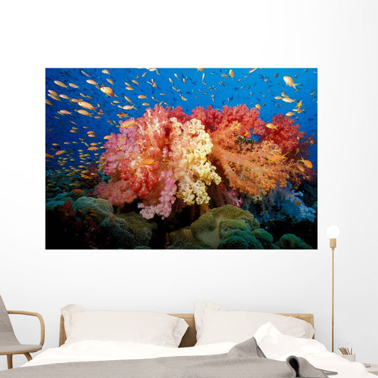 Tropical Coral Reef Fiji Wall Decal Design 5