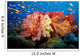 Tropical Coral Reef Fiji Wall Decal Design 5
