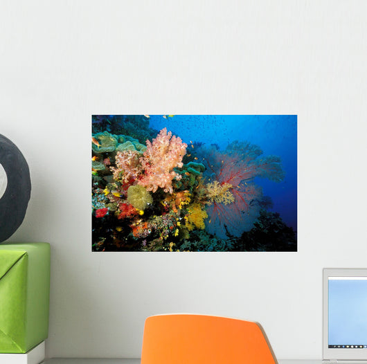 Tropical Coral Reef Fiji Wall Decal Design 4