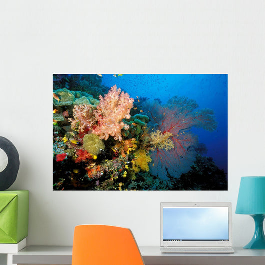 Tropical Coral Reef Fiji Wall Decal Design 4