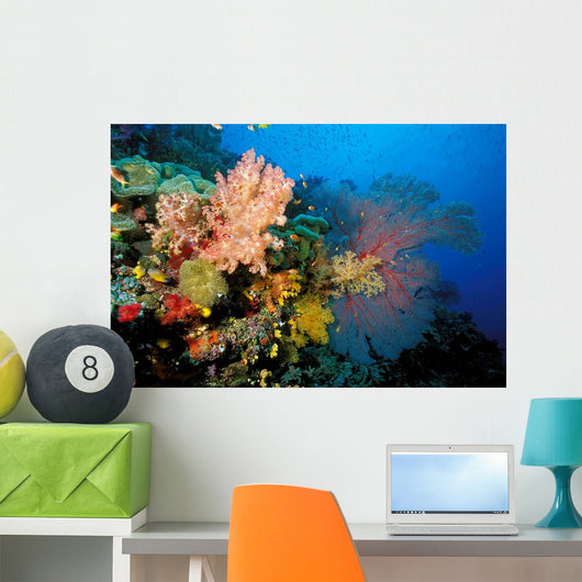 Tropical Coral Reef Fiji Wall Decal Design 4