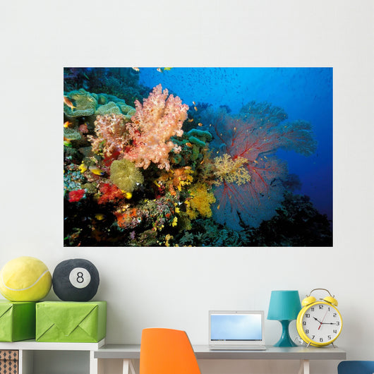 Tropical Coral Reef Fiji Wall Decal Design 4