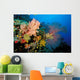 Tropical Coral Reef Fiji Wall Decal Design 4