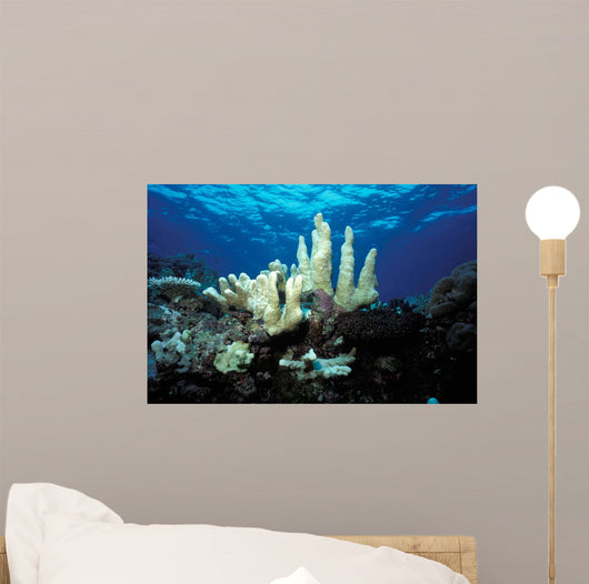 Climate Change Due to Wall Decal