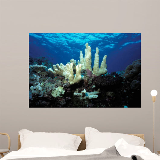 Climate Change Due to Wall Decal