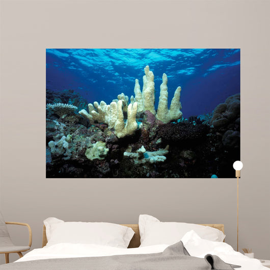 Climate Change Due to Wall Decal