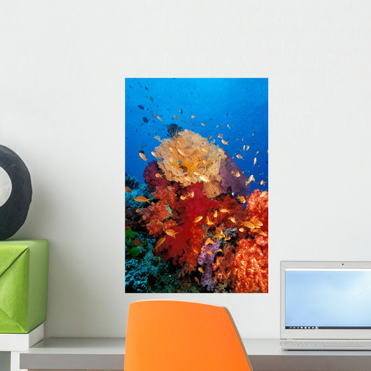 Tropical Coral Reef Fiji Wall Decal Design 3