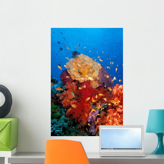Tropical Coral Reef Fiji Wall Decal Design 3