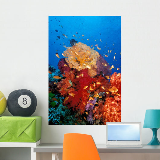 Tropical Coral Reef Fiji Wall Decal Design 3