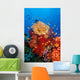 Tropical Coral Reef Fiji Wall Decal Design 3