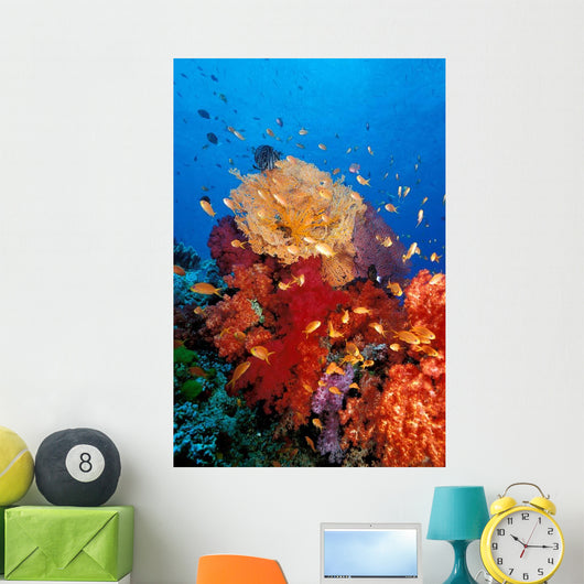 Tropical Coral Reef Fiji Wall Decal Design 3