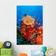 Tropical Coral Reef Fiji Wall Decal Design 3