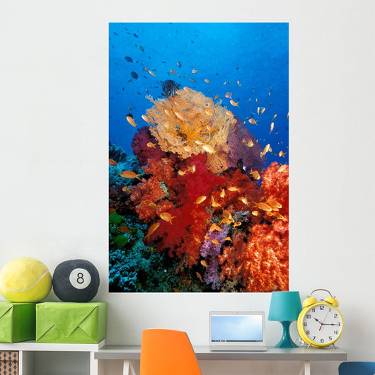 Tropical Coral Reef Fiji Wall Decal Design 3