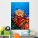 Tropical Coral Reef Fiji Wall Decal Design 3