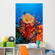 Tropical Coral Reef Fiji Wall Decal Design 3