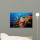 Tropical Coral Reef Fiji Wall Decal Design 2