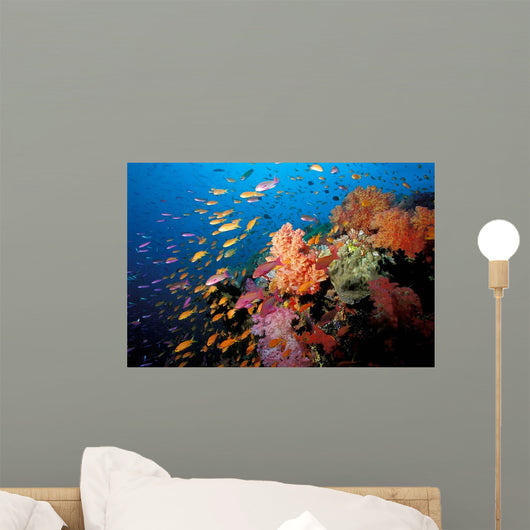 Tropical Coral Reef Fiji Wall Decal Design 2