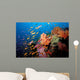 Tropical Coral Reef Fiji Wall Decal Design 2