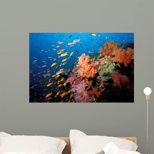 Tropical Coral Reef Fiji Wall Decal Design 2