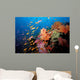 Tropical Coral Reef Fiji Wall Decal Design 2