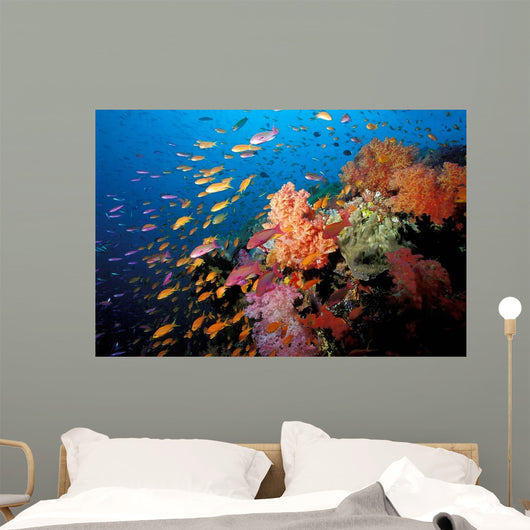 Tropical Coral Reef Fiji Wall Decal Design 2