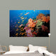 Tropical Coral Reef Fiji Wall Decal Design 2