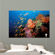 Tropical Coral Reef Fiji Wall Decal Design 2