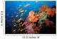 Tropical Coral Reef Fiji Wall Decal Design 2