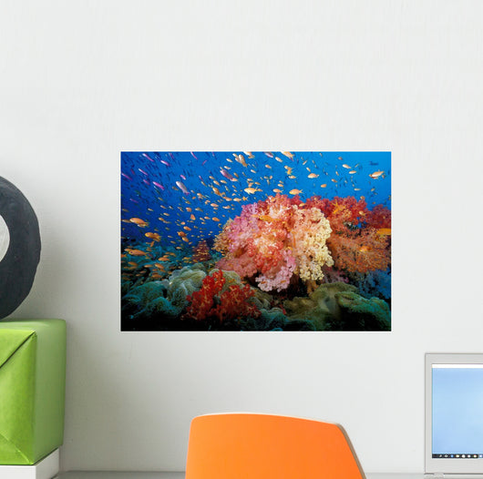 Tropical Coral Reef Fiji Wall Decal Design 1
